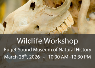 Wildlife workshop button with an animal skull background